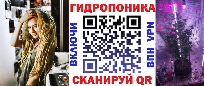 Купить закладки  Алагир  Канабис Amnesia 